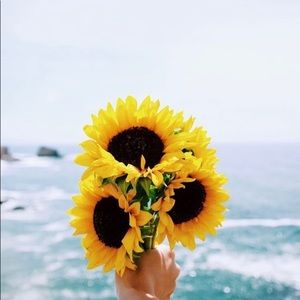 Meet your Posher, Leah